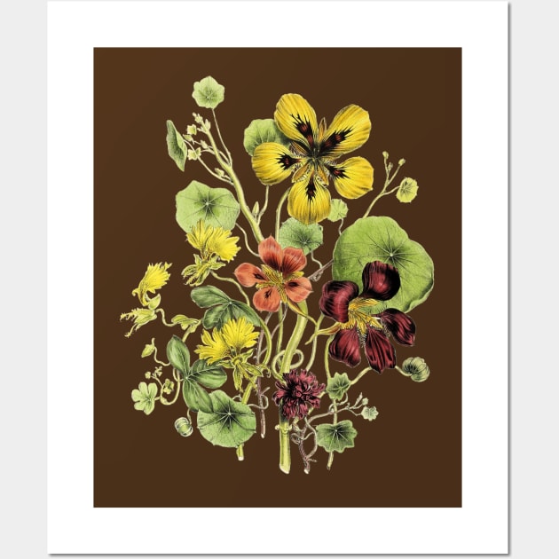 Blooming Nasturtium Flowers Bunch Wall Art by Biophilia